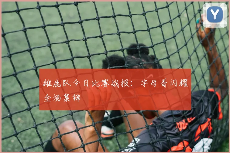 雄鹿队今日比赛战报：字母哥闪耀全场集锦
